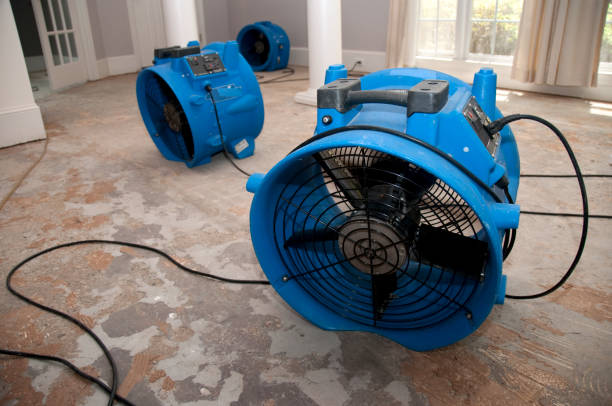 Best Basement water damage restoration  in West Memphis, AR