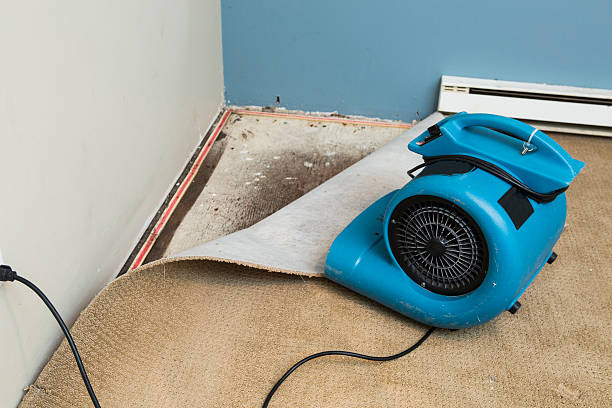 Best Commercial water damage restoration  in West Memphis, AR